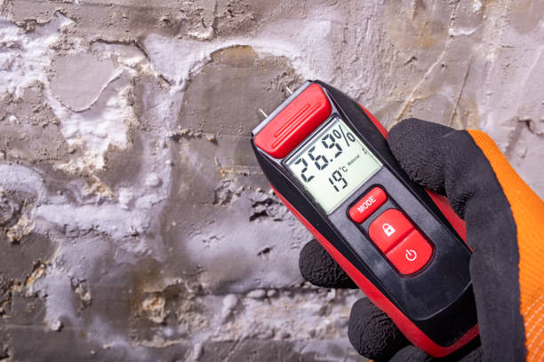 Best Certified Mold Removal  in Leadwood, MO