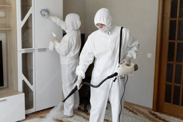 Mold Testing and Removal in Leadwood, MO